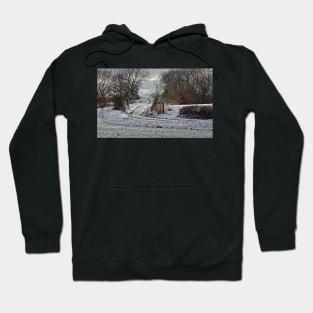 Winter Cart Track Hoodie